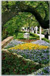 Flowers in the park.jpg (99436 bytes)