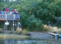BrooksRv viewstand..JPG (203139 bytes)