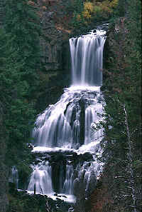 falls_Yel-B.JPG (68302 bytes)